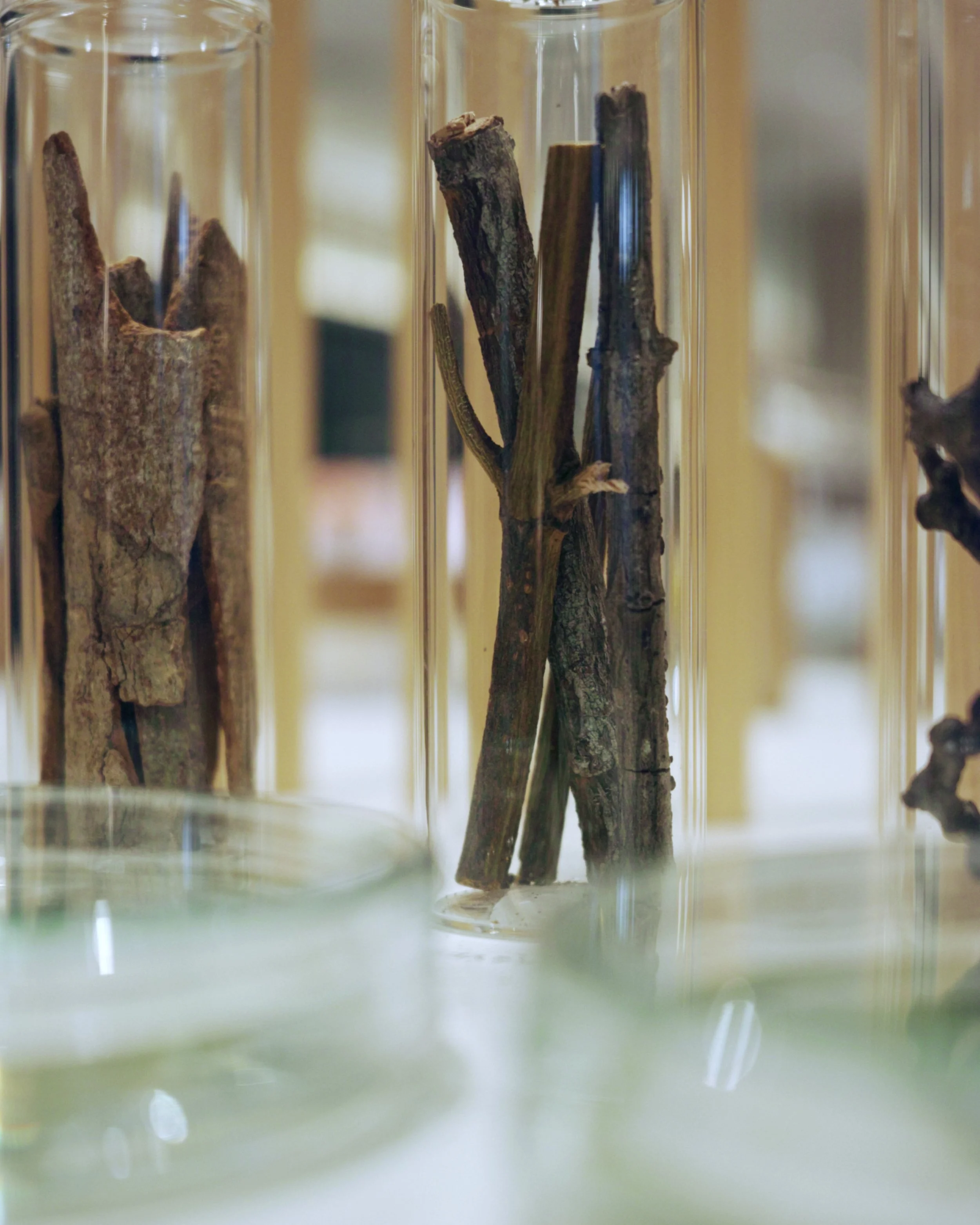 ATELIER BAUM ISETAN — SHISEIDO CREATIVE